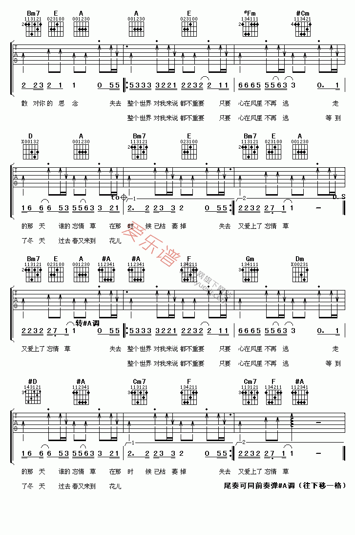 王强《花儿爱上忘情草》吉他谱A调六线谱(图)1