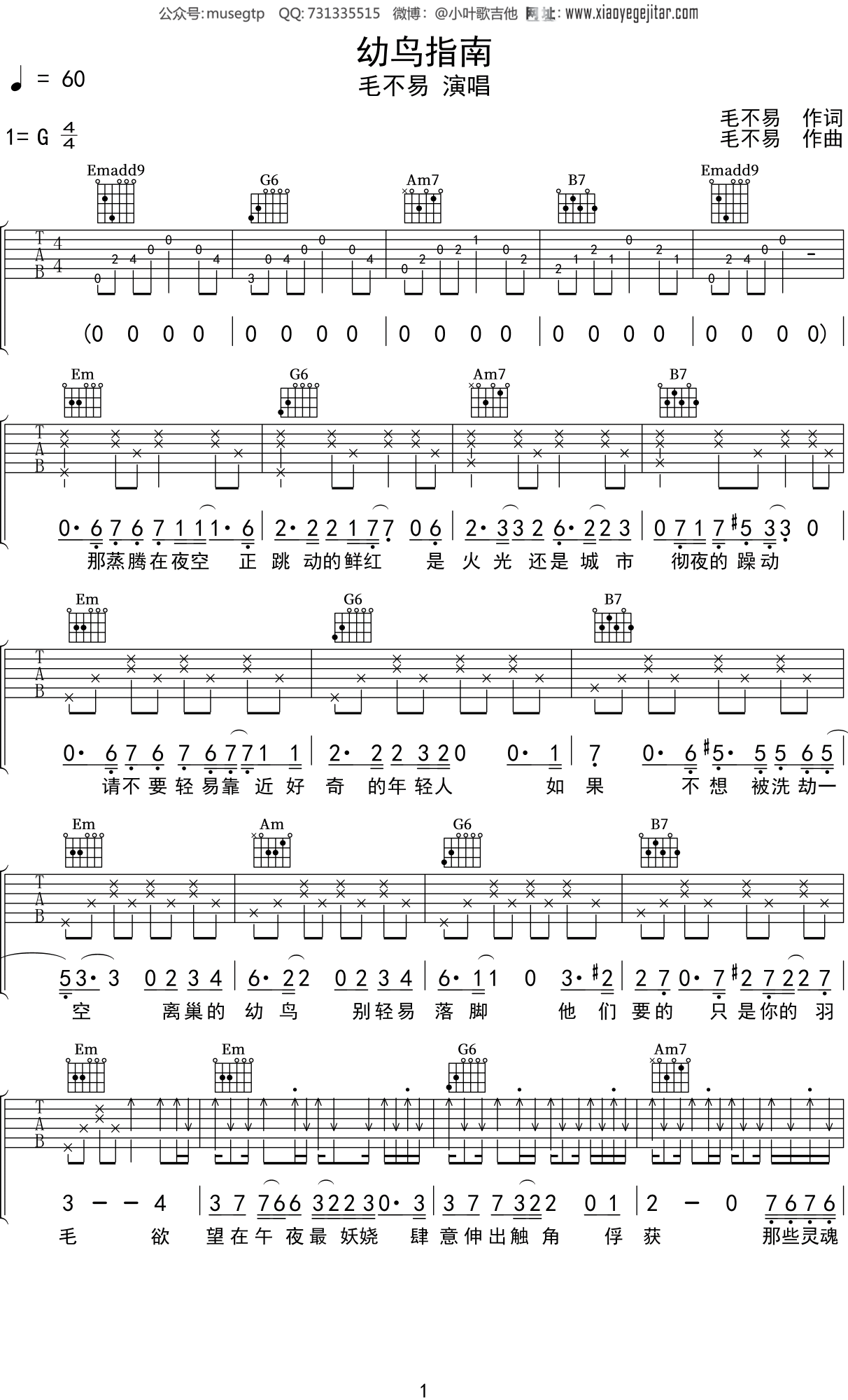 《幼鸟指南》吉他谱C调六线谱(图)1